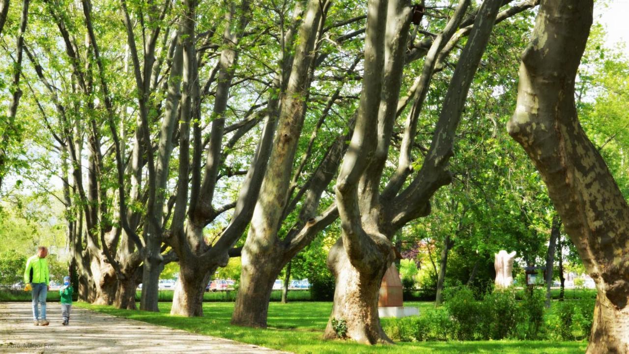 Miniszilva Apartman Balatonalmádi المظهر الخارجي الصورة
