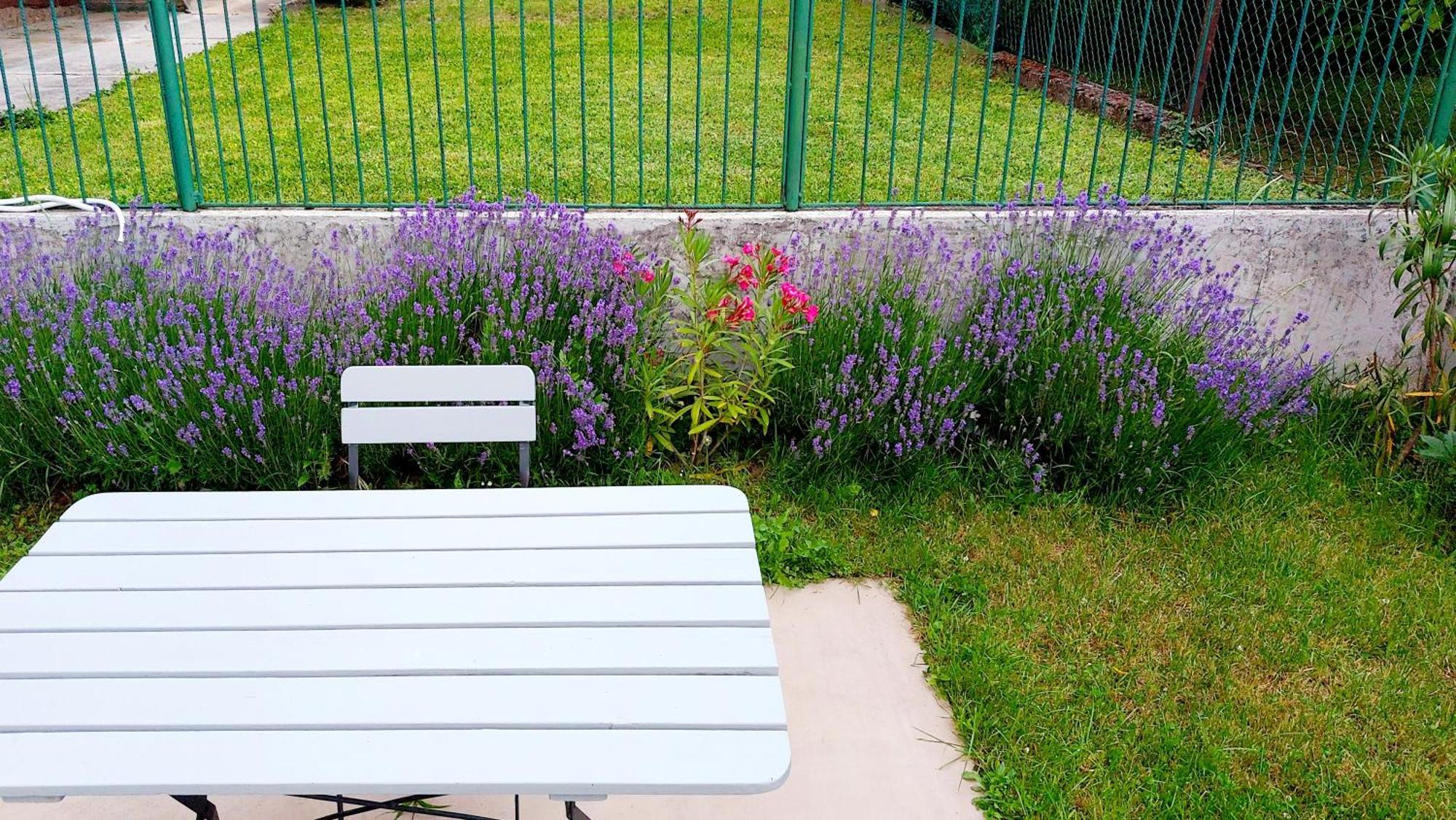 Miniszilva Apartman Balatonalmádi المظهر الخارجي الصورة