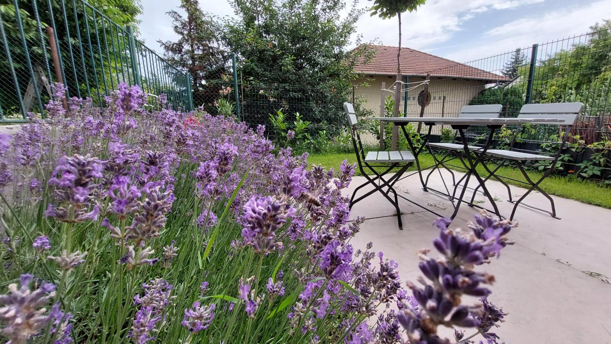 Miniszilva Apartman Balatonalmádi المظهر الخارجي الصورة